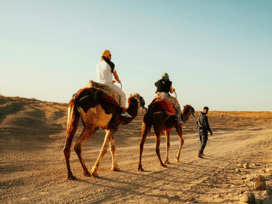 Day 10 – Sahara Desert | Camel Trek & Luxury Desert Camp