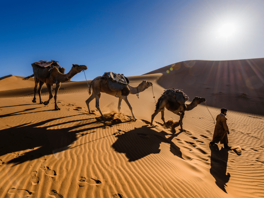 Day 11 – Sahara Sunrise & Return to Marrakech