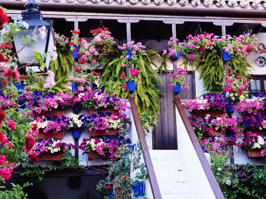 Day 6 – Seville | Palaces, Flamenco & Andalusian Elegance