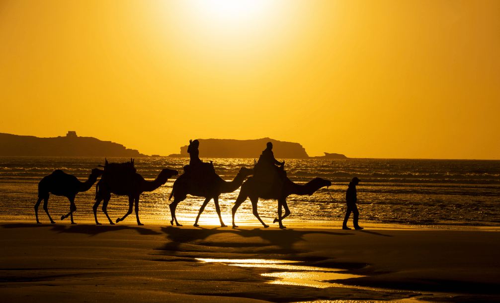 A Night Beneath a Billion Stars: The Magic of Morocco's Sahara Desert
