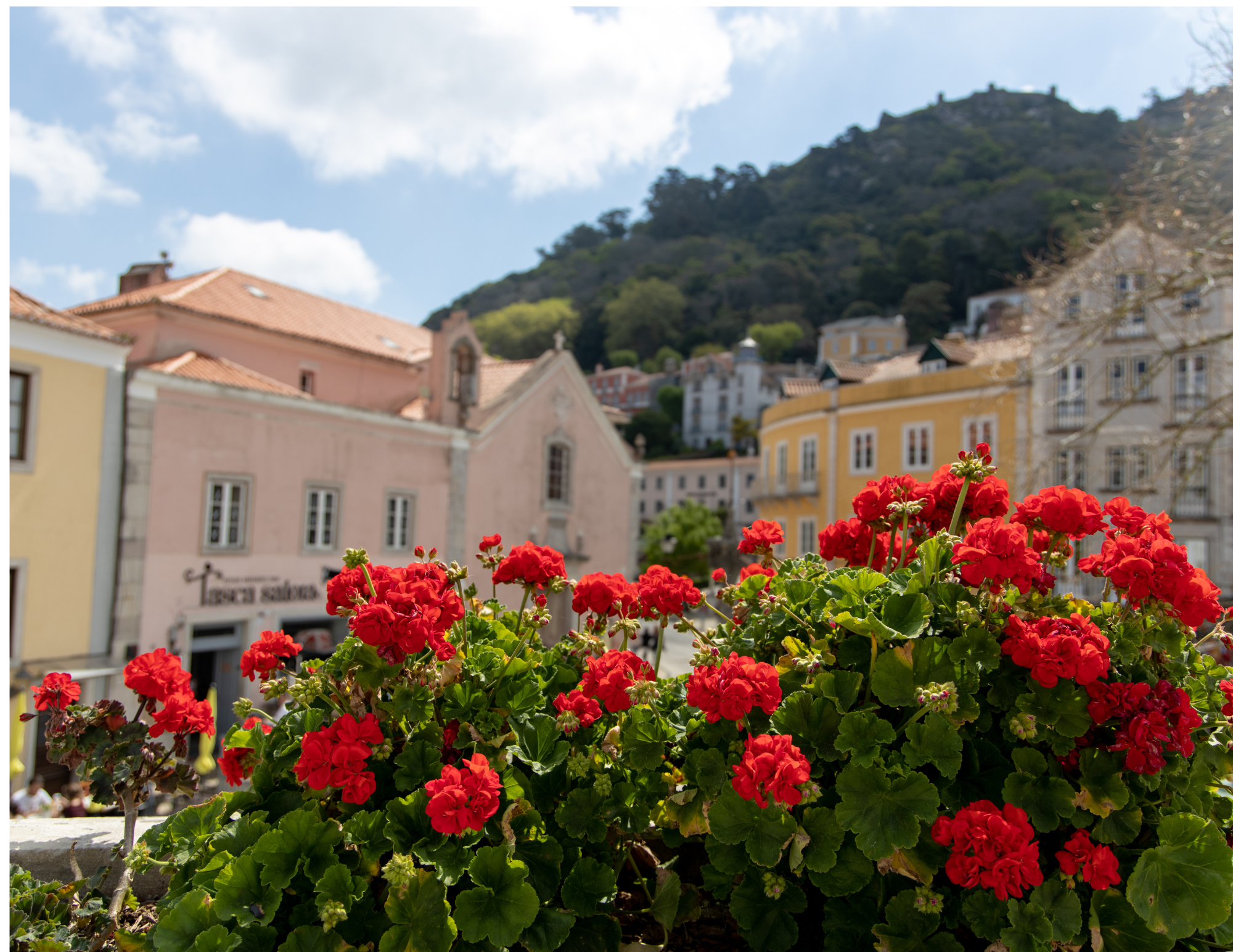 A Fairytale Journey to Sintra & Cascais - gallery 5