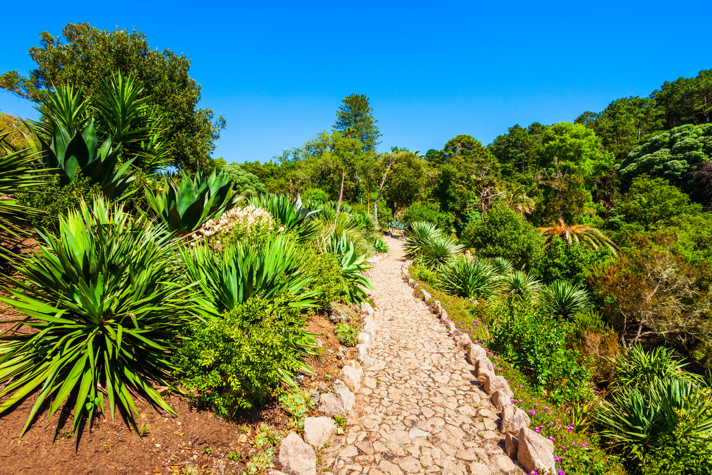 A Fairytale Journey to Sintra & Cascais - gallery 9