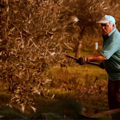 The Best of Alentejo: Cork, Évora & Monsaraz - gallery 5