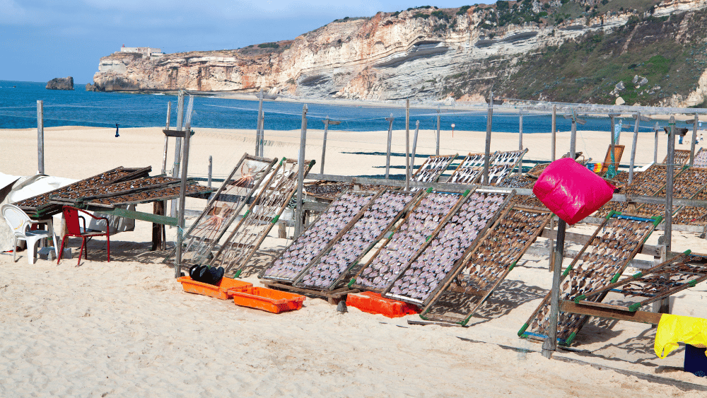Sacred & Atlantic Portugal - Fátima, Nazaré & Óbidos - gallery 10