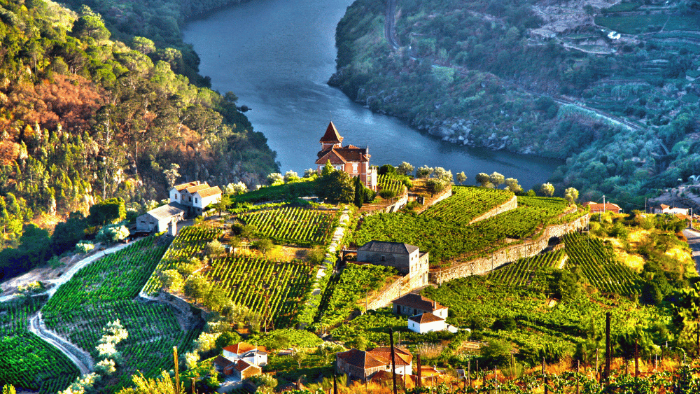 Day 5 – Douro Valley | Vineyards, Wine & Breathtaking Landscapes